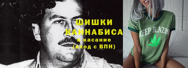 крисы Арсеньев