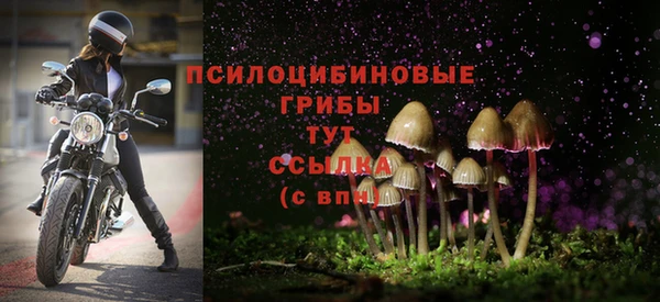 крисы Арсеньев