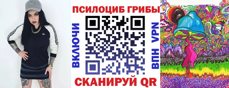 кракен ONION  Нягань  Псилоцибиновые грибы Psilocybine cubensis 